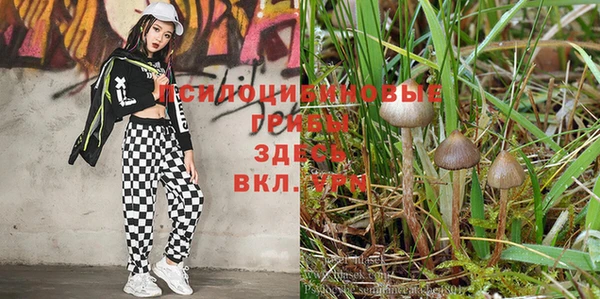 стаф Балахна