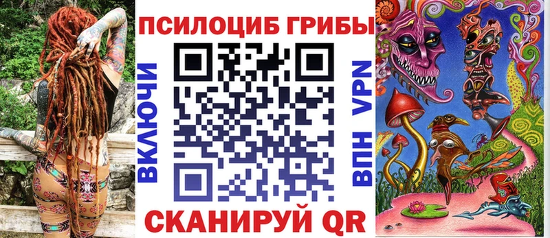 Купить где Сусуман Галлюциногенные грибы Cubensis