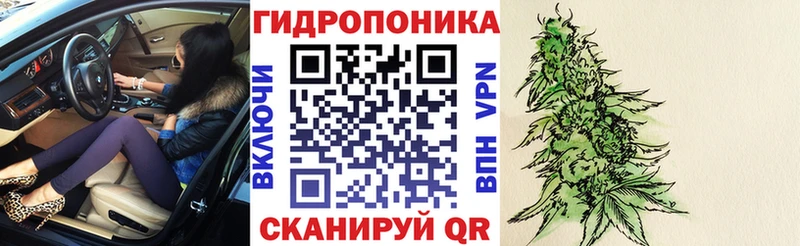 Бошки Шишки ГИДРОПОН  Купить где  Сусуман 